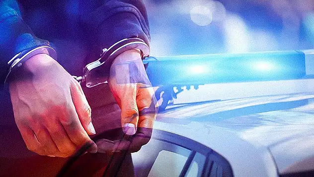 Kaçakçılık operasyonu: 29 gözaltı