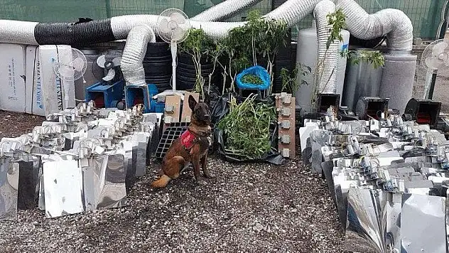 Ankara'da 10 kilo uyuşturucu ele geçirildi: 1 gözaltı