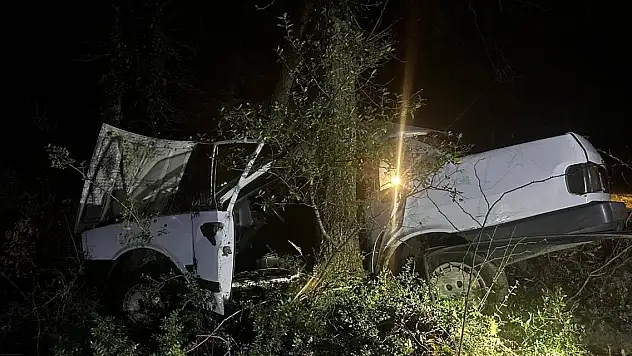 Otomobil ağaca çarptı sürücü öldü, eşi yaralı