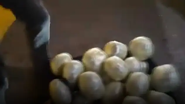 25 ilde 'Narkoçelik-6' operasyonları... 245 zehir taciri yakalandı