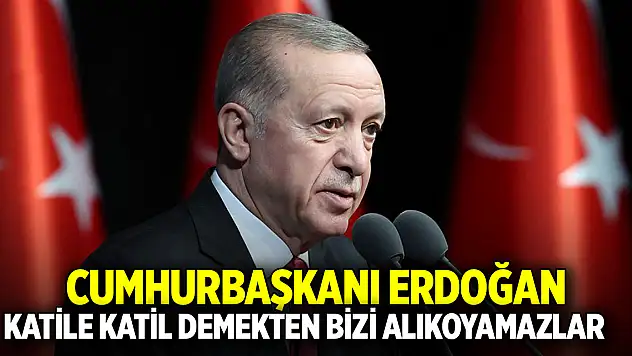 Cumhurbaşkanı Erdoğan: Katile katil demekten bizi alıkoyamazlar