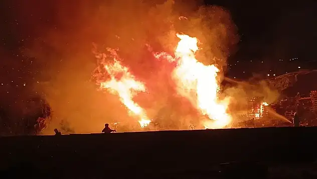 Bursa'da palet fabrikasında yangın