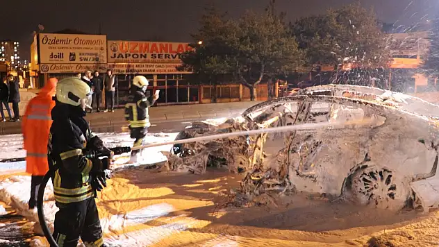 Ağaca çarpan otomobil alev aldı! Sürücü hayatını kaybetti