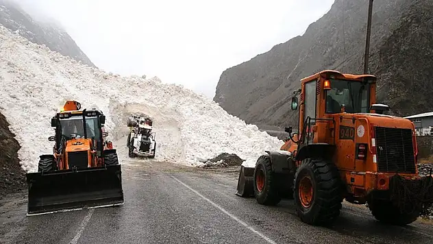 Hakkari-Çukurca kara yolu çığ nedeniyle kapandı