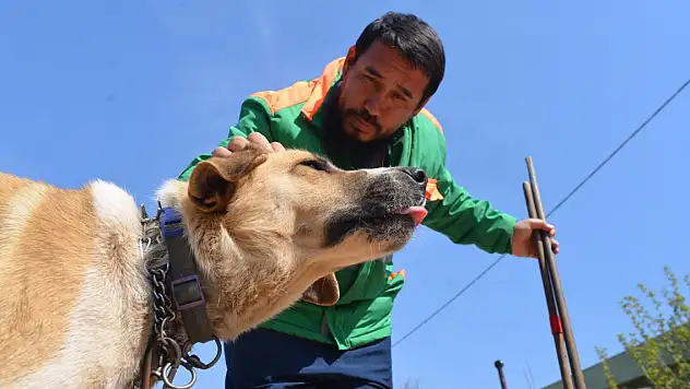 Sokak köpeğini süpürgesi ile kaşıyıp sevdi temizlik personelinin o anları kamerada