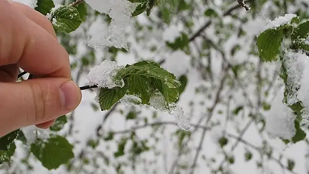 Meteorolojiden zirai don uyarısı