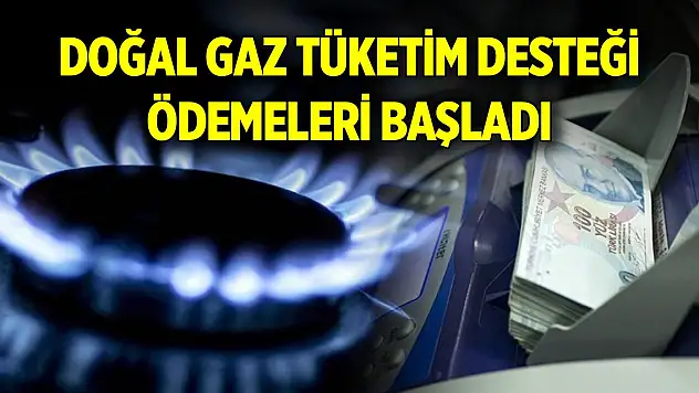 Doğal gaz tüketim desteği ödemeleri başladı