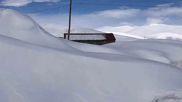 Kars'ta kar kalınlığı 2 metreyi buldu, evler kar altında kaldı