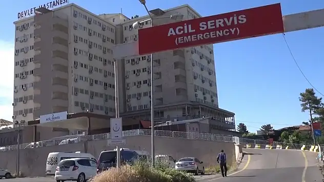 Bahçeye giren hayvan kavgası: 5 yaralı