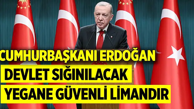 Cumhurbaşkanı Erdoğan: Devlet sığınılacak yegane güvenli limandır