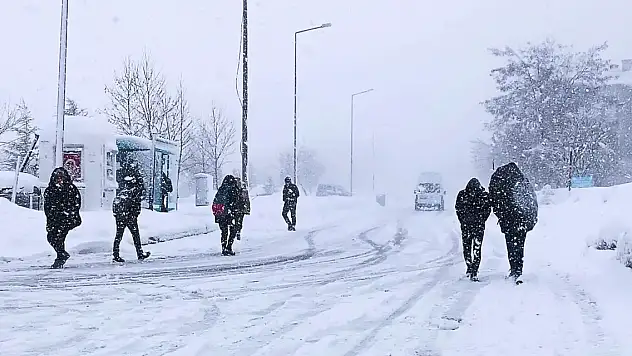 Bitlis merkez ve bir ilçesinde okullara kar tatili