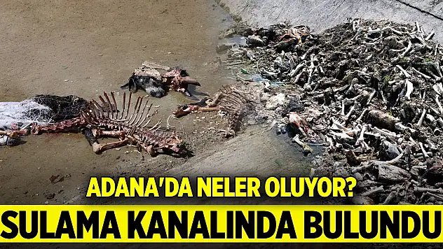 Adana'da neler oluyor? Sulama kanalında bulundu
