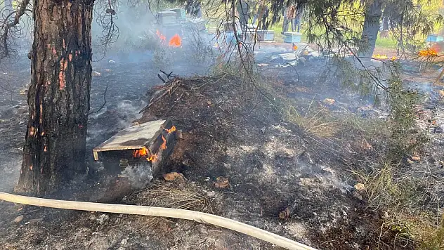 Çıkan orman yangını büyümeden söndürüldü