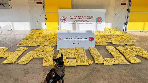 Habur'da ele geçirildi! Tek seferde yakalanan en yüksek miktar...