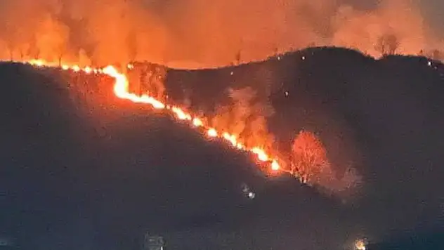 Trabzon'da orman yangını