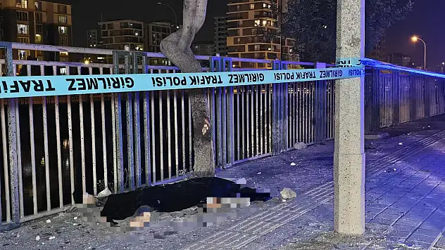 Motosiklet, ağaca ve direğe çarptı: 2 genç hayatını kaybetti