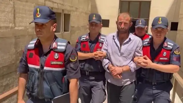 'Orman sevdalısıyım' demişti orman yakmaktan 8 yıl 4 ay hapis cezası aldı