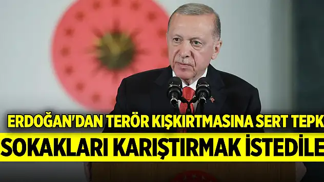 Cumhurbaşkanı Erdoğan'dan terör kışkırtmasına sert tepki: Sokakları karıştırmak istediler
