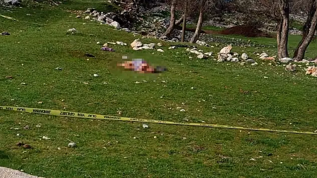 3 köpeğin saldırdığı kadın öldü