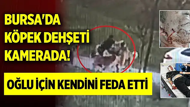 Bursa'da köpek dehşeti kamerada! Oğlu için kendini feda etti