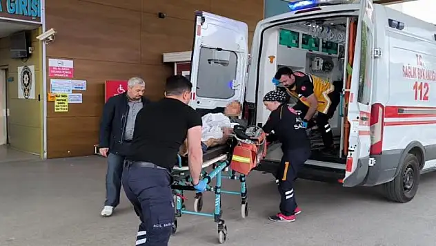 Hırsızlık yaptığını iddia ettiği çalışanı vurdu