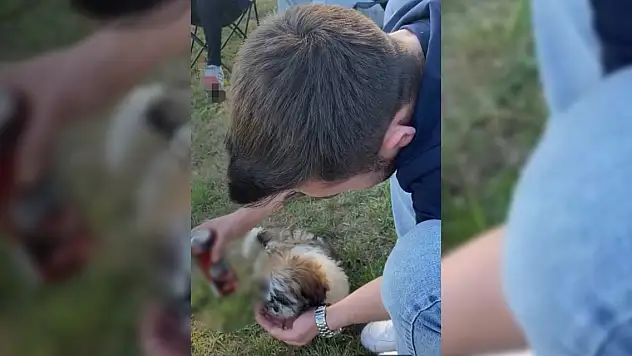 Köpeğe alkol içirdi, bir de o anları paylaştı!