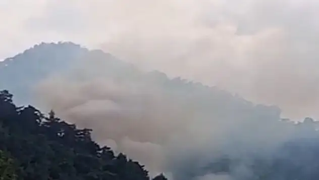 Antalya'da orman yangını