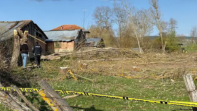 Kestiği ağacın altında kalan kişi öldü