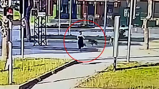 Köpeklerden kaçarken otomobil çarptı!