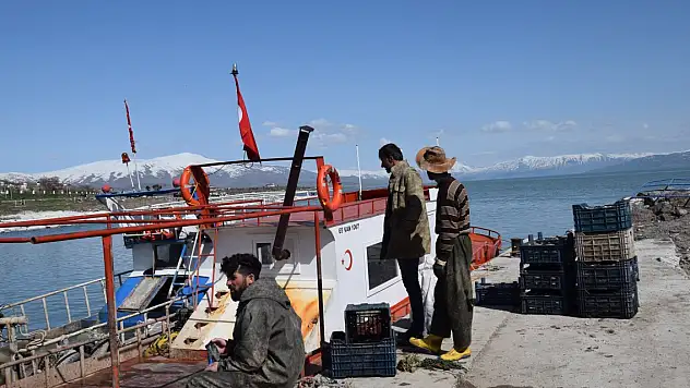 Dünyada sadece Van Gölü'nde yaşıyor! Üreme dönemi nedeniyle av yasağı başladı