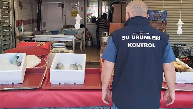 Beyşehir'de balık işleme tesisleri ve balık satış yerleri denetlendi