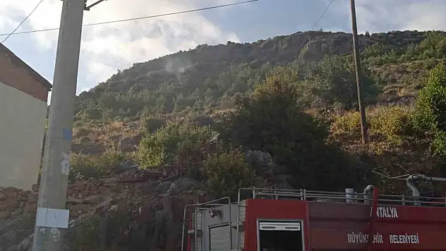 Alanya'da orman yangını