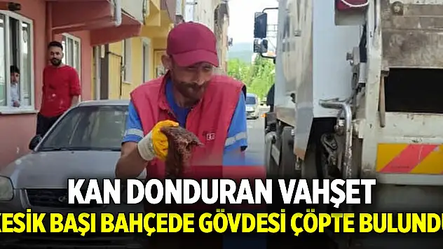 Kan donduran vahşet: Kesik başı bahçede gövdesi çöpte bulundu