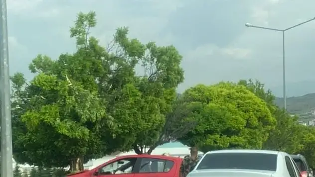 Otomobil ağaca çarptı: 3 yaralı