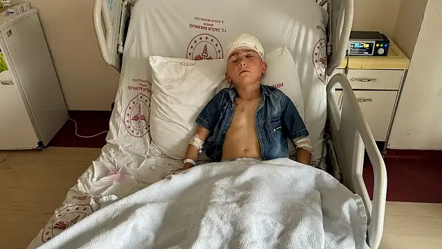 Mardin'de komşusunun köpeğinin saldırısına uğrayan 7 yaşındaki çocuk yaralandı