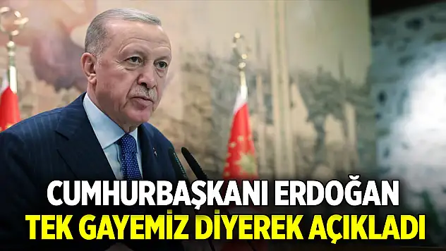 Cumhurbaşkanı Erdoğan tek gayemiz diyerek açıkladı