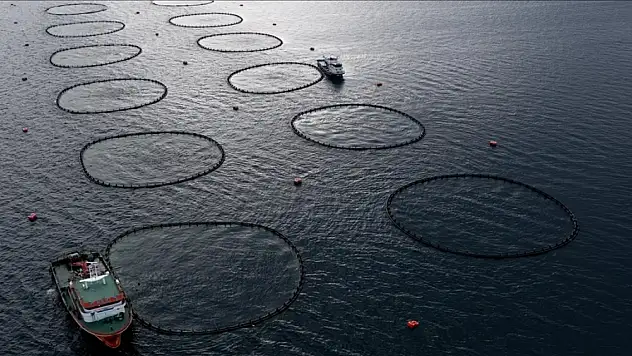 Bakanlık çalışma başlattı! Türk balıkçılarının yeni rotası...