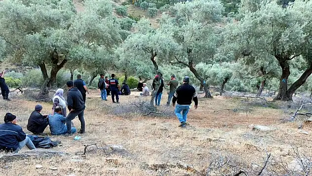 Kayıp koyunlarını aramaya çıkan çiftçi, ölü bulundu