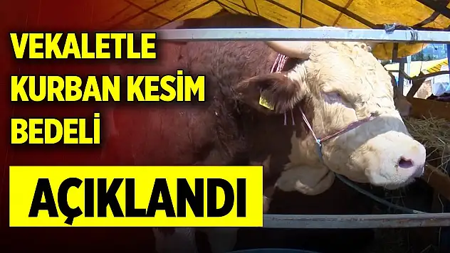 Son Dakika! Diyanet, vekaletle kurban kesim bedelini açıkladı