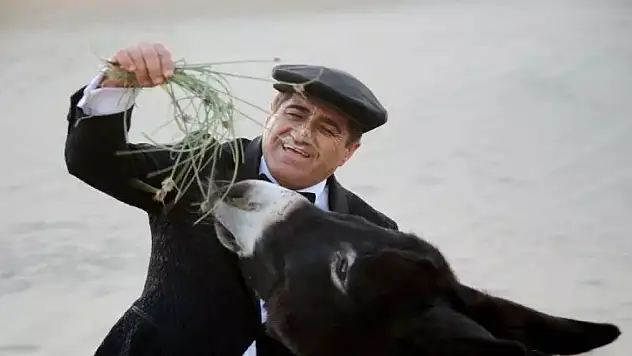 Eşeklere nikah kıyıp balayına gönderdiler: Şarkıcı Aydın Aydın da eşlik etti