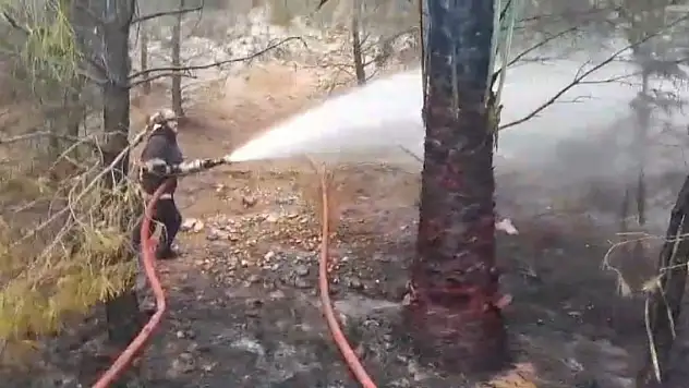 İki ayrı şehirde yangın!