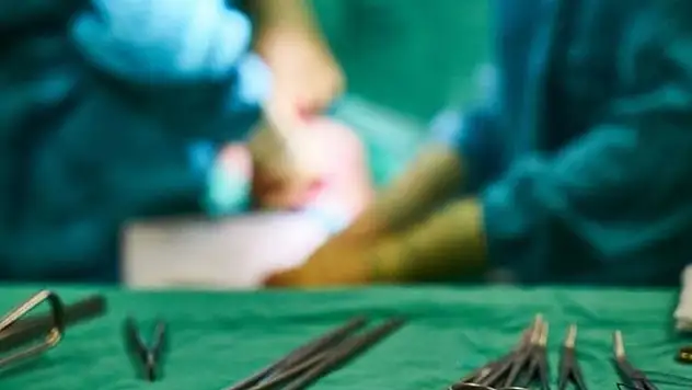 Domuz böbreği nakledilmişti! Bakın ne oldu