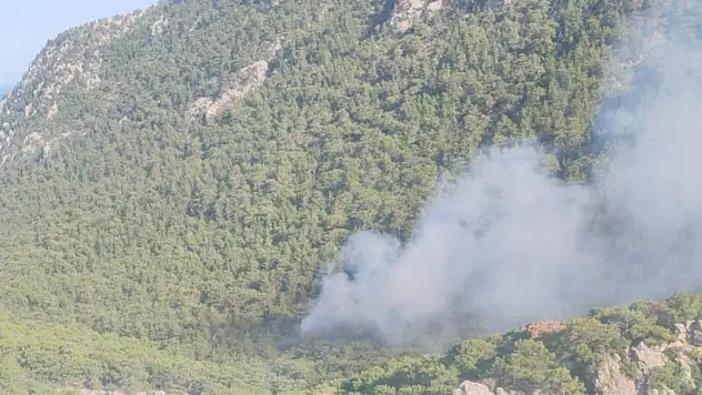 Antalya'da orman yangını