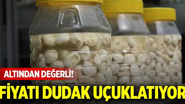 Altından değerli, fiyatı dudak uçuklatıyor