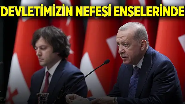 Cumhurbaşkanı Erdoğan: 'Devletimizin nefesi enselerinde'