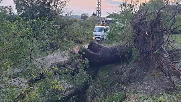 Osmaniye'de sağanak ve dolu hayatı olumsuz etkiledi