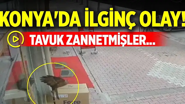 Konya'da ilginç olay! Tavuk zannetmişler...
