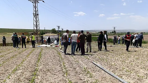 Ankara'da elektrik akımına kapılan çiftçi hayatını kaybetti