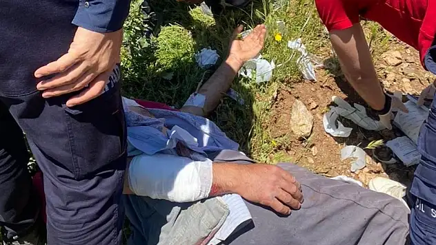 Hayvanlarını otlatırken ayının saldırdığı kişi yaralandı