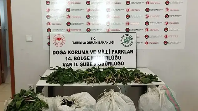 İran uyruklu kişiye 387 bin 141 lira ceza!